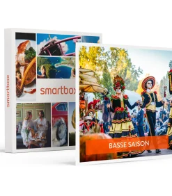 2 dagen Europa-Park voor 1 volwassene in het laagseizoen - Actie