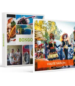 2 dagen Europa-Park voor 1 volwassene in het hoogseizoen - Actie