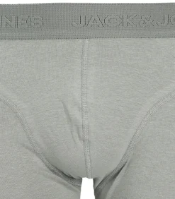 6 pack Ordinary - retro short / pant