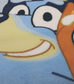 100% polyester bedrukte deken, HUG