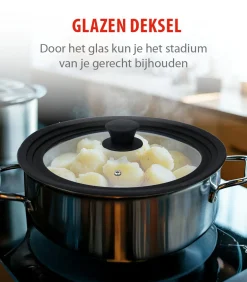Alpina glazen pannendeksel met siliconen rand - universeel 28 cm