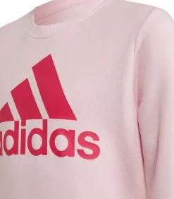 BIG LOGO - Sweatshirt - Roze