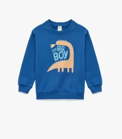 Blauw Sweatshirt Dino Print Lange Mouwen Katoen