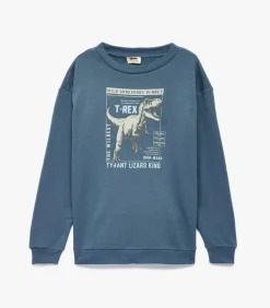 Blauw Sweatshirt Lange Mouwen Ronde Hals Dino Print