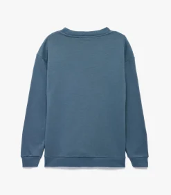 Blauw Sweatshirt Lange Mouwen Ronde Hals Dino Print