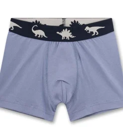 Boxershorts Set van 5
