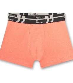 Boxershorts Set van 5