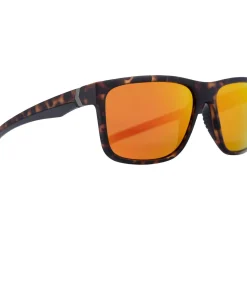 BRINLEY - Zonnebril - Bruin