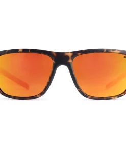 BRYN - Zonnebril - Bruin