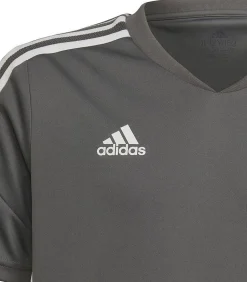 CONDIVO 22 - Jersey - Grijs