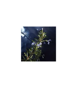 Cool Water Reborn Eau de Toilette 125 ml