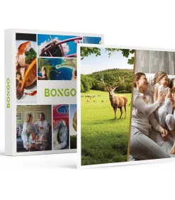 2-daagse in de Ardennen voor 4 incl. Grotten van Han-tickets - Specials