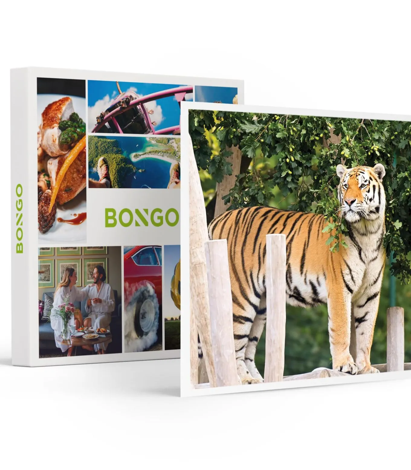 Dagje Bellewaerde voor 1 persoon - Actie