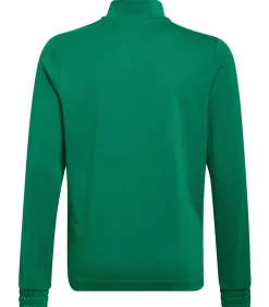 ENTRADA 22 - Sweatshirt - Groen