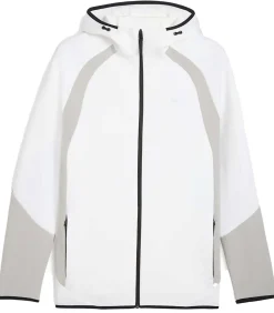 Evostripe Fz Hoodie Dk