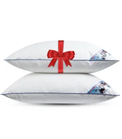 Fabiola - Zacht Halfdons Hoofdkussen - Set van 2 stuks