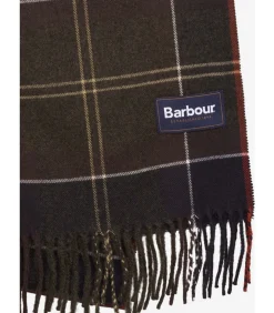 Galingale scarf - classic