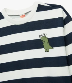 Gestreepte Sweater Lange Mouwen Dino Blauw Baby