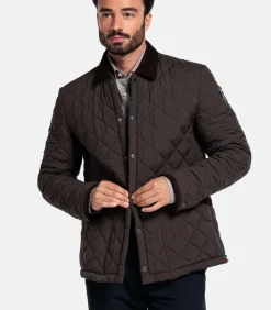 Giordano Palermo Jack – Bruin