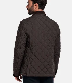 Giordano Palermo Jack – Bruin