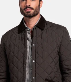 Giordano Palermo Jack – Bruin