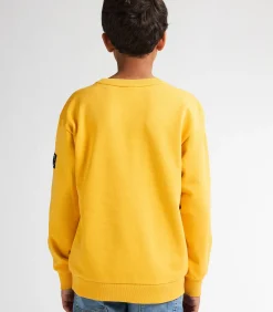 Grafische Sweater Allegheny