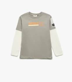 Grijs Kinder T-shirt Ronde Hals Bedrukt Katoen Lange Mouwen
