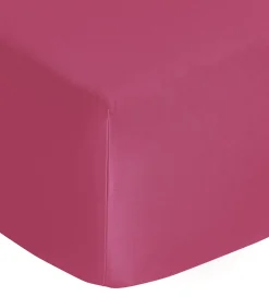 HoesLaken | Vexin · Clématite