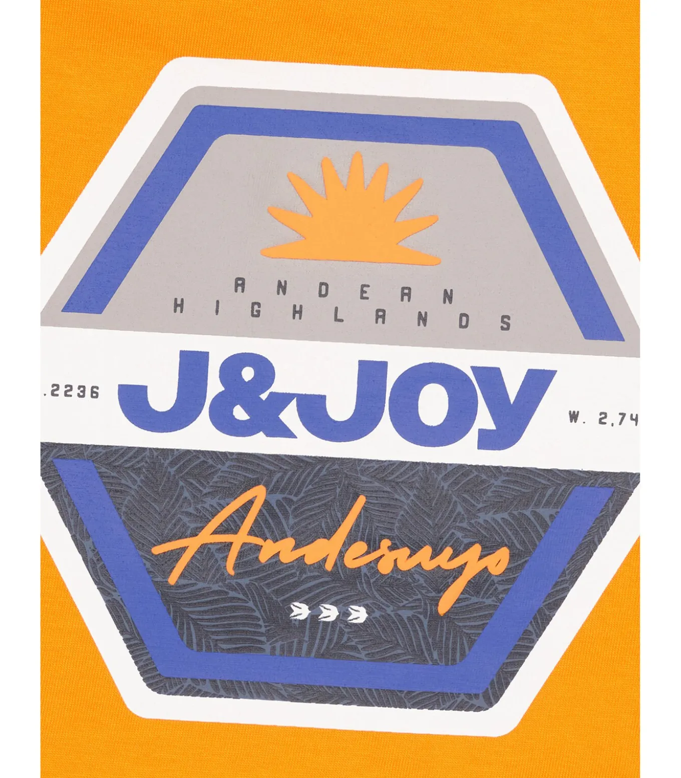 Jongens T-shirt met lange mouwen, oranje, met logo op de borst