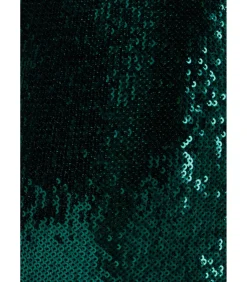 Maxi-jurk “Liquid Sequin Corsage Maxi”