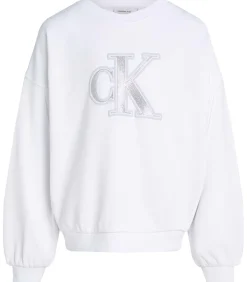 Metallic Ck Ls Cn Sweatshirt