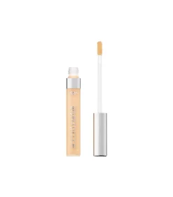 Perfecte Match Vloeibare Concealer - 1N Ivoire