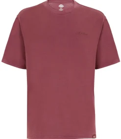 Plentywood Ss Tee