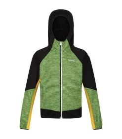 PRENTON II - Jasje - Muntgroen