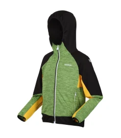 PRENTON II - Jasje - Muntgroen