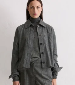 Regular krijtstreepjasje