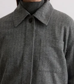 Regular krijtstreepjasje