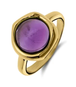 Ring Staal - Goudkleurig