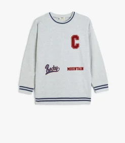 Ronde kraag Applique Gedetailleerd Sweatshirt