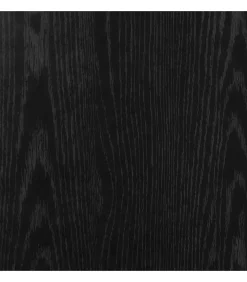 Schoenenkasten 32x35x70 cm spaanplaat 2 st zwart eikenkleurig