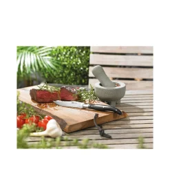 Set steakmessen BASCO, 4 stuks in hoogwaardige dennenhouten box