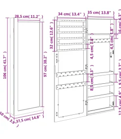 Sieradenkast met spiegel wandgemonteerd 37,5x10x106 cm