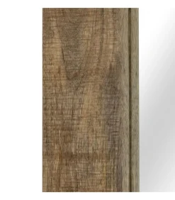 Spiegel 50x110 cm massief mangohout