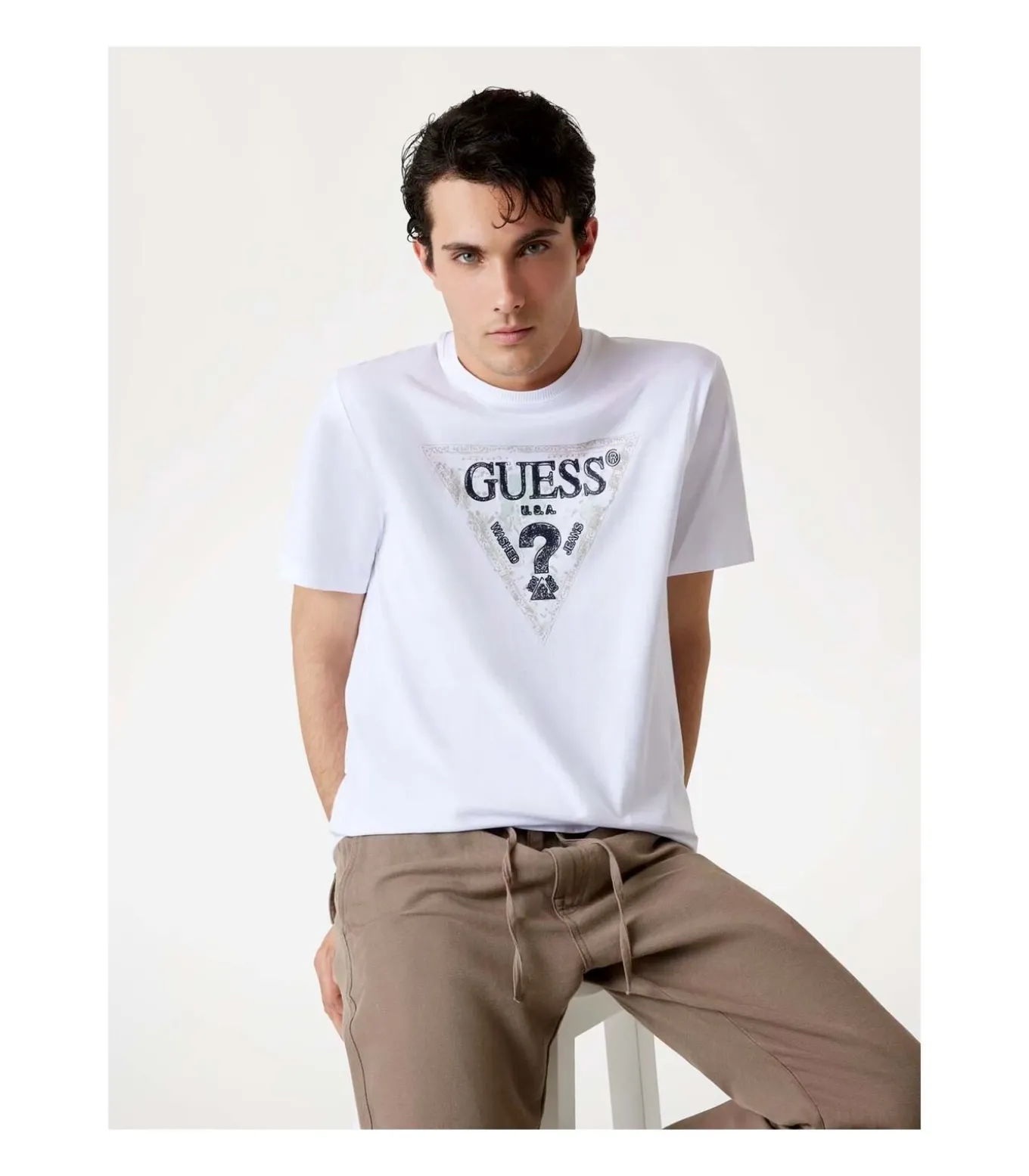 Ss Cn Guess Triangle Tee