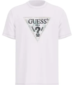 Ss Cn Guess Triangle Tee