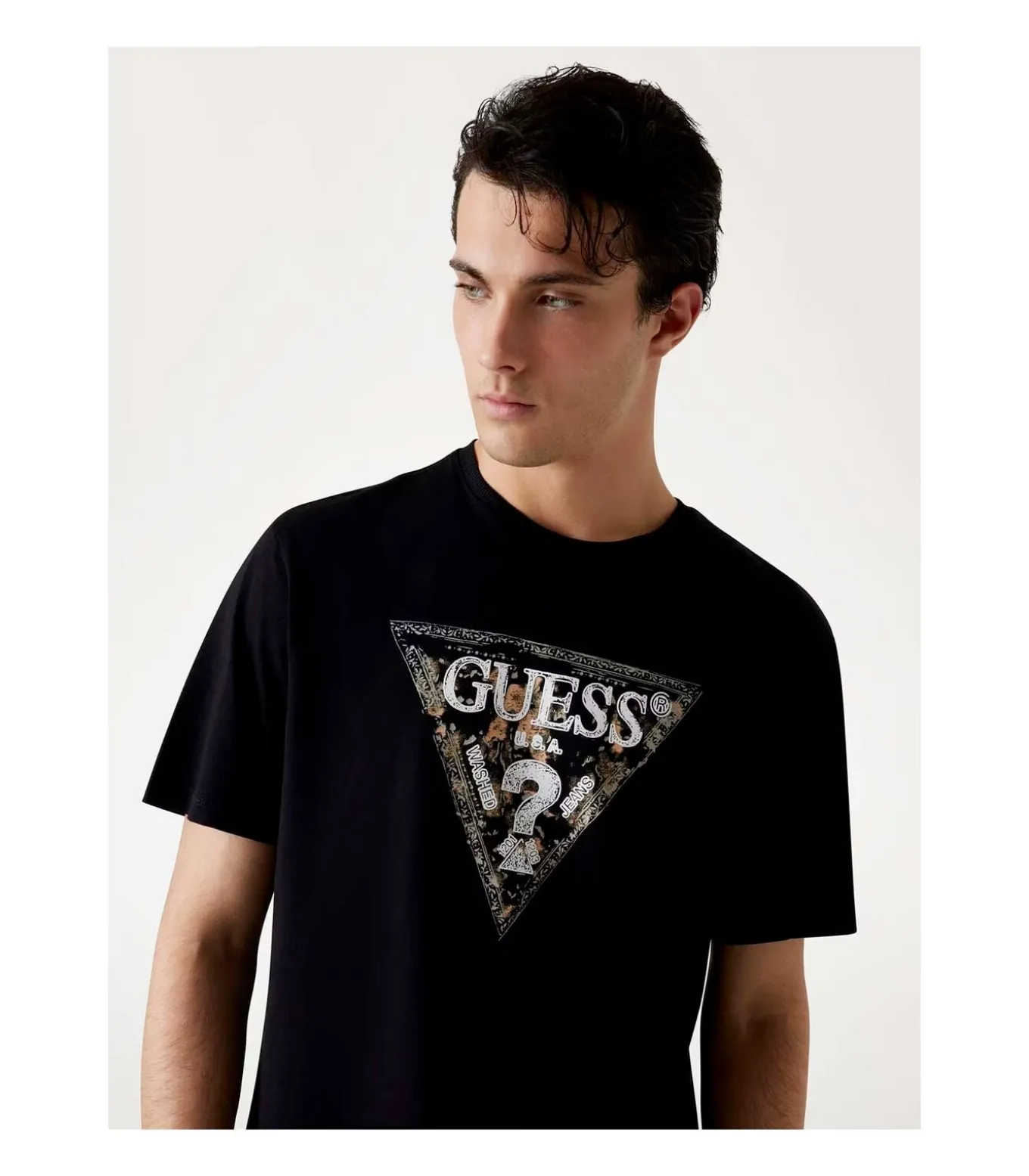 Ss Cn Guess Triangle Tee