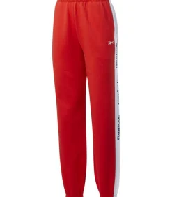 TE LINEAR FL - Joggingbroek - Rood