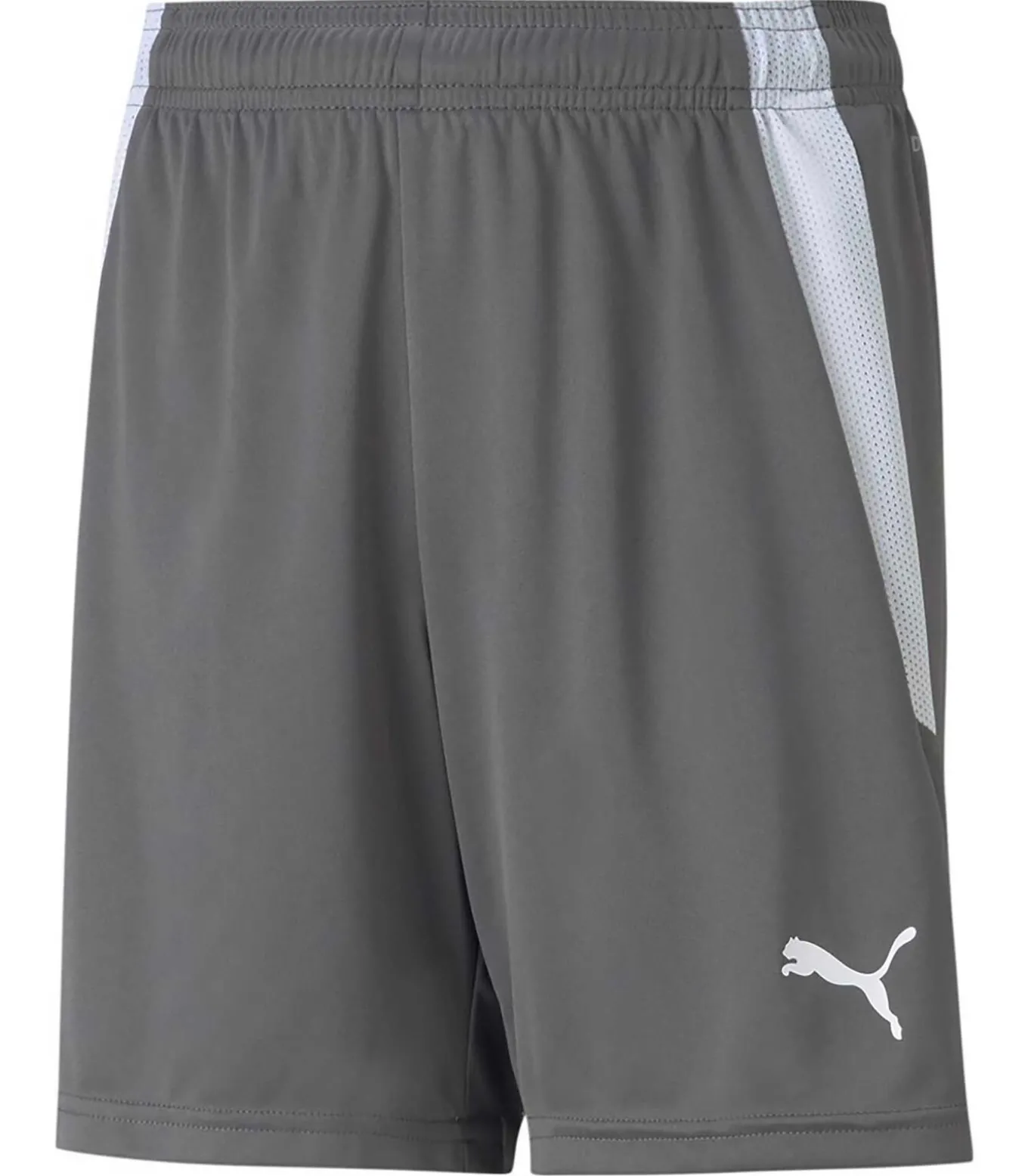 Teamliga Shorts Jr