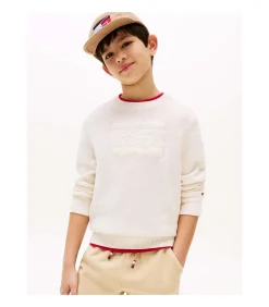 Tommy Script Flag Tonal Sweate