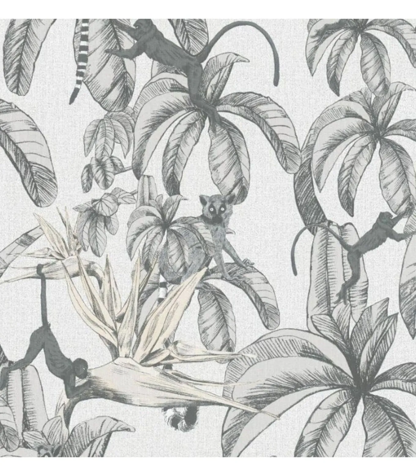 Topchic Behang Monkey Jungle Leaves grijs en zwart